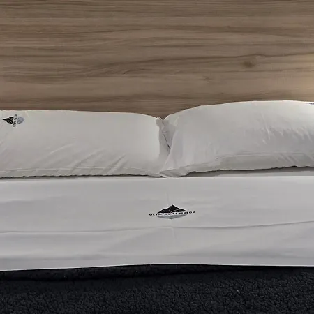 Athenais By Olympus Pantheon Gasthuis